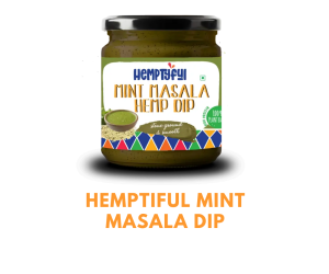 mint masala dip 3